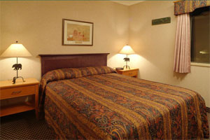 Banff Douglas Fir - One Bedroom with Loft