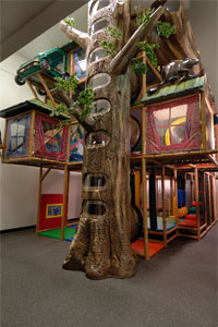 banff douglas fir playground