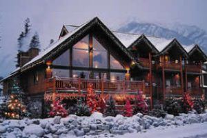 bear and bison inn