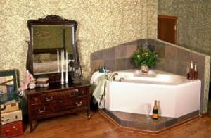 historical traveller's collection room