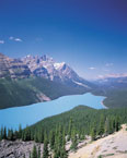 bow summit - highest point on the icefields parkway (2156m)