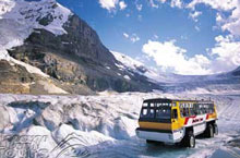 columbia icefields tour