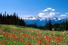 guided hike