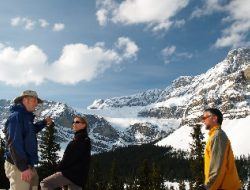 lake louise & icefields tour