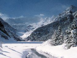 lake louise & icefields tour