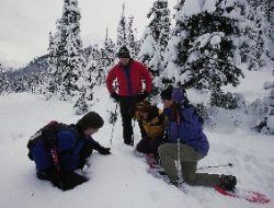 snowshoeing
