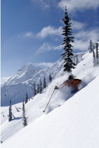 ski fernie - skiing the powder