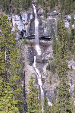 bridal veil falls - icefields parkway
