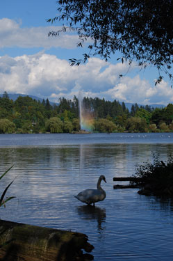 lost lagoon, vancouver