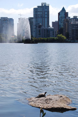 lost lagoon, vancouver