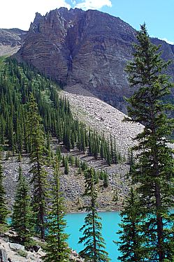 moraine lake in the summer