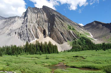 mount chester