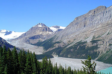 peyto glacier - icefields parkway
