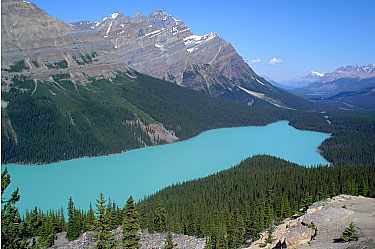peyto lake - icefields parkway