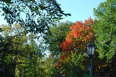 quebec city park