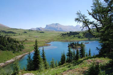 sunshine meadows - rock isle lake