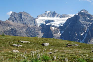 view from sentinel pass trail