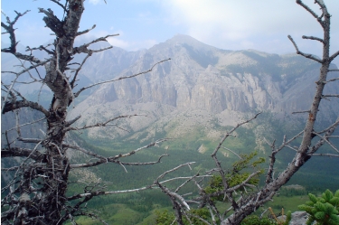view from mount yamnuska - end mountain