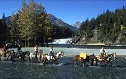 explore banff on horseback