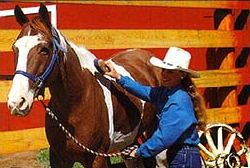 banff horseback riding