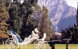 banff horseback riding - carriage for special occasions