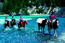 banff horseback riding