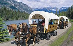 banff horseback riding - wagon