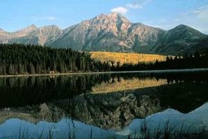 Jasper Tours