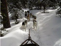 kingmik half hour trail