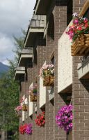maligne lodge