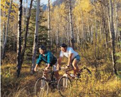 mountain biking in the canadian rockies