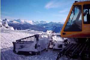 cat-ski or board in whistler