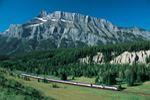rocky mountaineer rail vacation packages