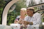 rocky mountaineer rail vacation - goldleaf service