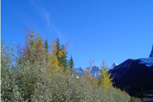 whistler, b.c., canada