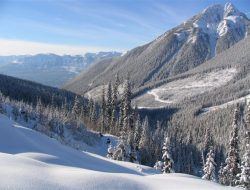 banff snowmobile tours