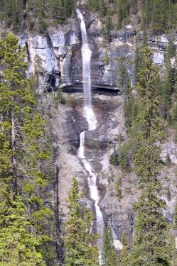 Bridal Veil Falls, Banff National Park